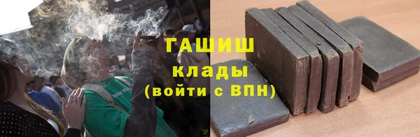 ешки Алексин
