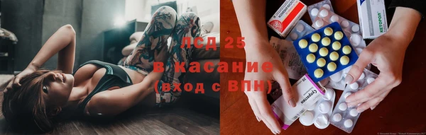 ешки Алексин