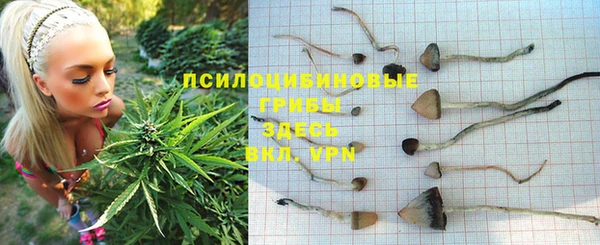ешки Алексин