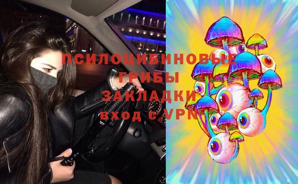 ешки Алексин
