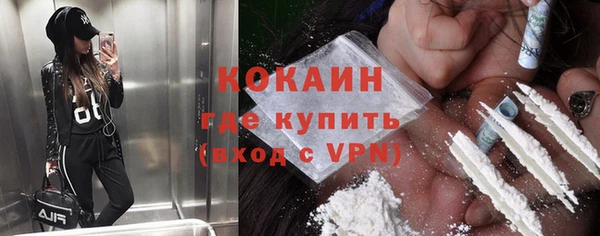 соль ск Алзамай